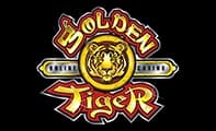 Golden Tiger